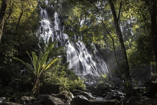 Cascada que atraviesa el bosque rodeada de árboles.