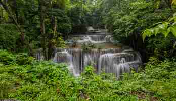 Foto gratuita cascada que es una capa en tailandia