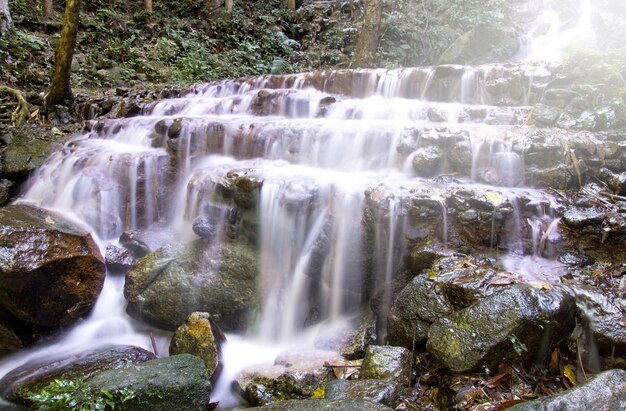 Cascada en la selva profunda (cascada de Mae Kampong en la provincia de Chiang Mai, Tailandia)