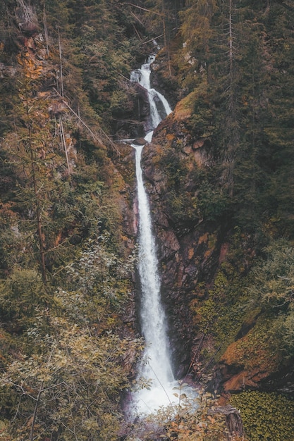 Foto gratuita cascadas en medio del bosque durante el día.