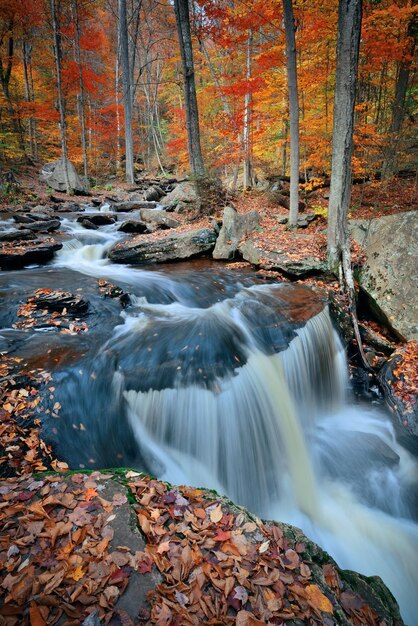 Cascadas de otoño en el parque con follaje colorido.