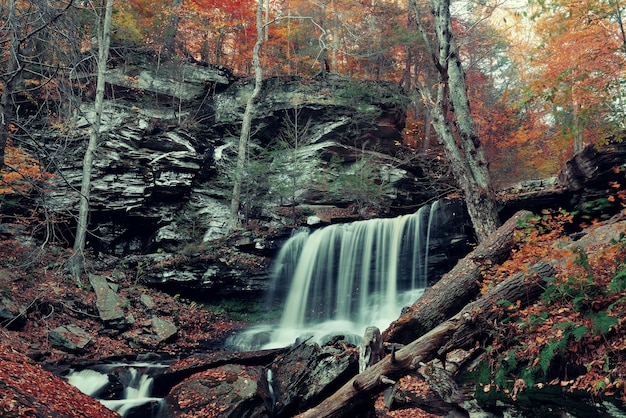 Foto gratuita cascadas de otoño en el parque con follaje colorido.