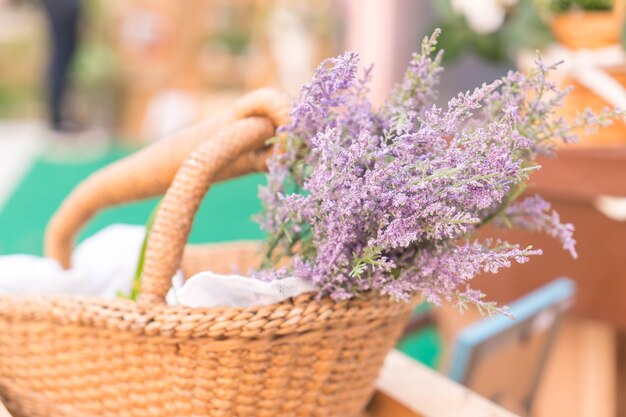 Caspia para flores de relleno