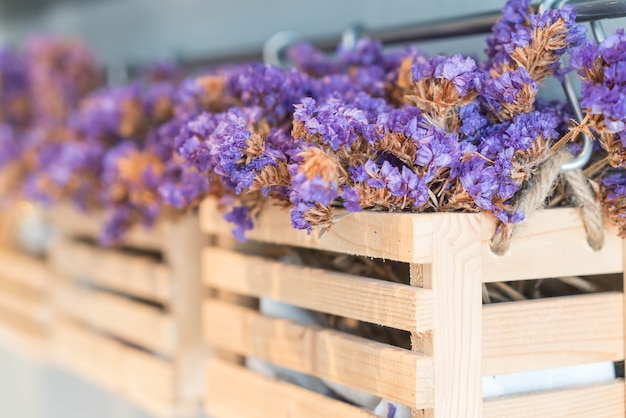 Caspia para flores de relleno