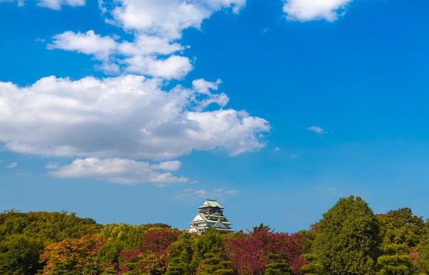 Castillo de osaka durante la estación de primavea