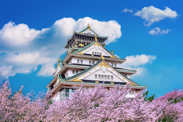 Foto gratuita castillo de osaka y flor de cerezo en primavera. temporadas de sakura en osaka, japón.