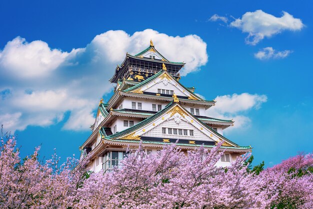 Castillo de Osaka y flor de cerezo en primavera. Temporadas de Sakura en Osaka, Japón.