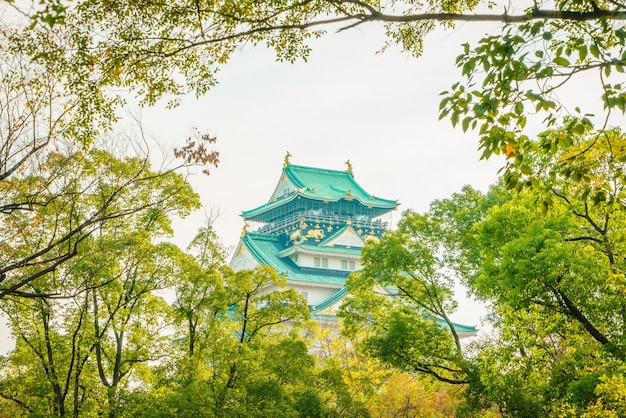 Foto gratuita castillo de osaka en osaka japón