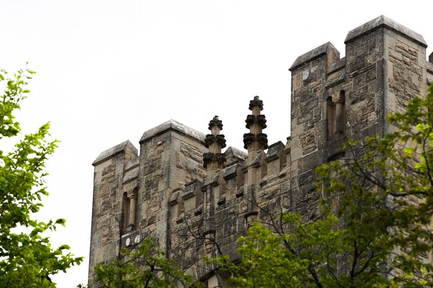 Castillo de piedra de ángulo bajo con árboles