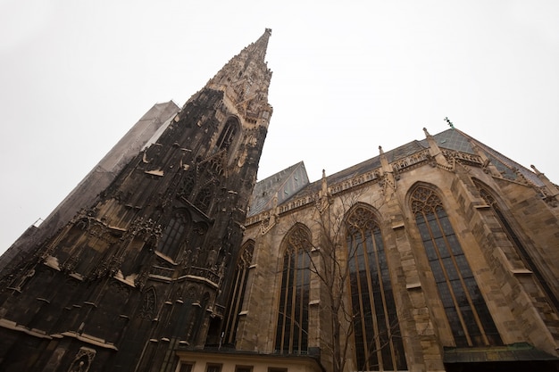 Foto gratuita catedral de san esteban en viena