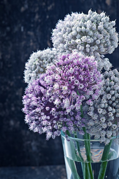 Foto gratuita cebolla flores en madera vieja