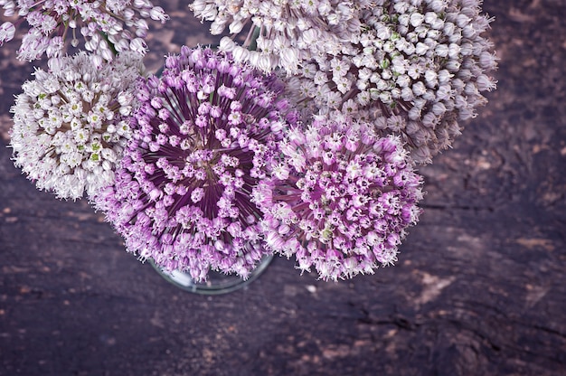 Cebolla de flores en la mesa de madera vieja