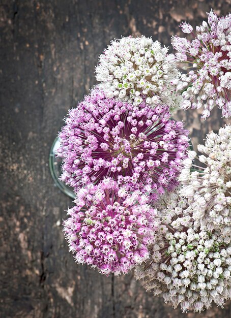 Cebolla de flores en la mesa de madera vieja