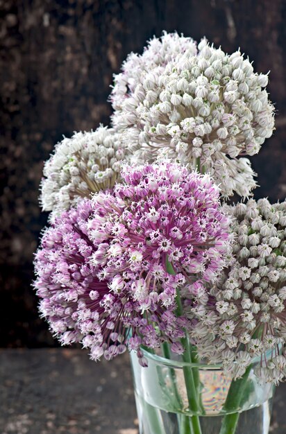 Cebolla de flores en la mesa de madera vieja