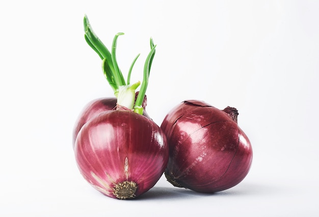 Foto gratuita cebolla roja entera, aislado en blanco