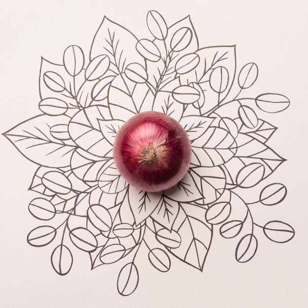 Cebolla roja sobre fondo floral de contorno