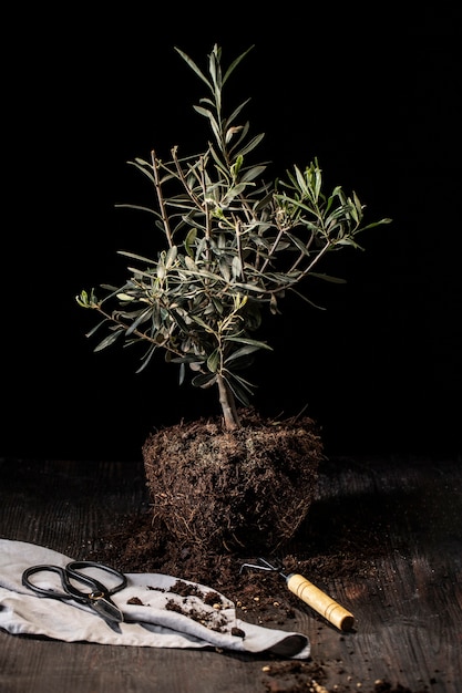 Celebración del día del árbol con árbol y herramientas.