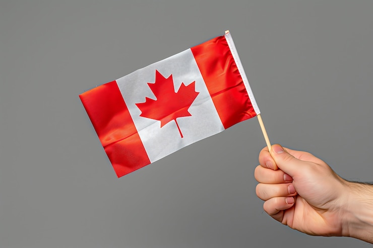 Foto gratuito celebración del día de canadá con el símbolo de la hoja de arce