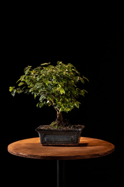 Foto gratuita celebre el día del árbol con una planta en maceta en la mesa