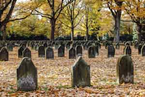 Foto gratuita cementerio de la primera guerra mundial