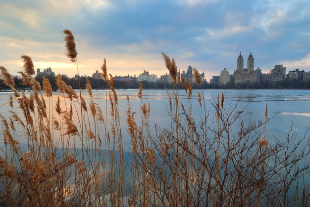 Central Park Atardecer Ciudad de Nueva York