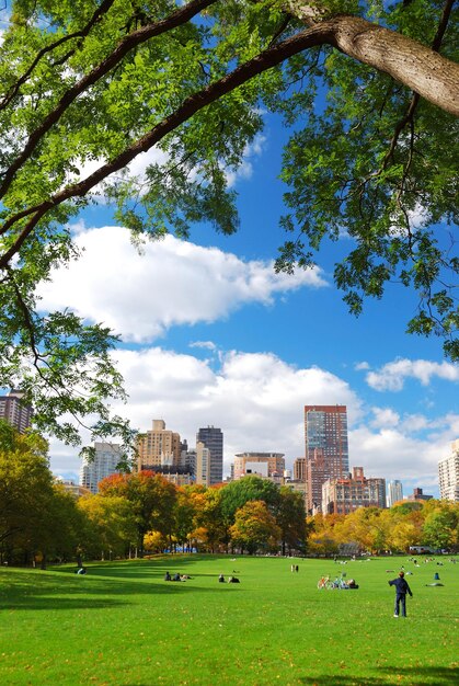 Central Park de Nueva York