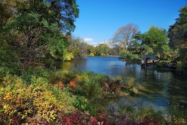 Foto gratuita central park de nueva york