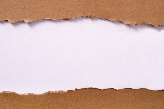Centro de papel marrón rasgado tira fondo blanco