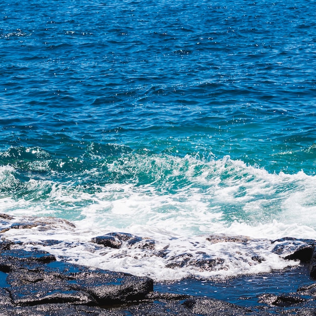 Cerca de agua cristalina ondulada en la playa