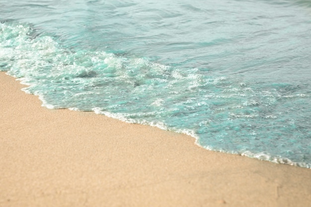 Cerca del agua en playa tropical