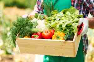 Foto gratuita cerca de la caja con verduras en manos del hombre maduro