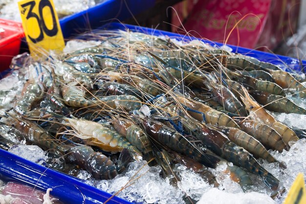 Cerca de camarones listos para la venta en el mercado