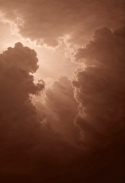 Cerca el cielo marrón de la luz del día