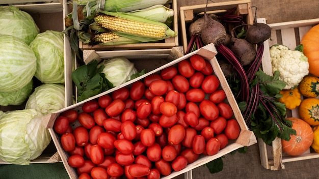 Cerca de deliciosos tomates orgánicos