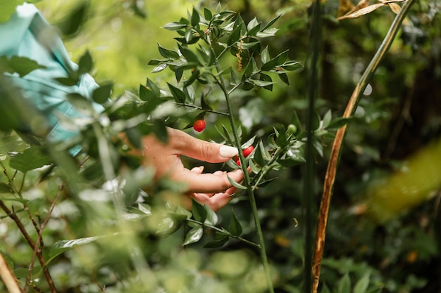 Cerca de frutas en el bosque