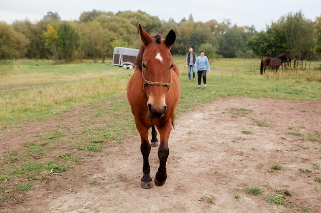 Cerca de granjero con hermoso caballo