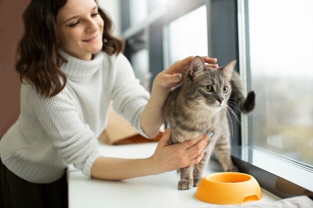 Cerca de hermoso gato con el dueño