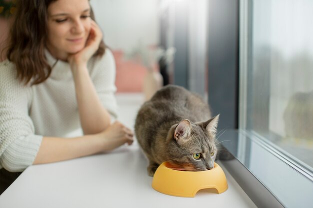 Cerca de hermoso gato con el dueño