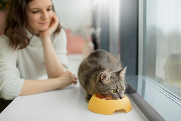 Cerca de hermoso gato con el dueño