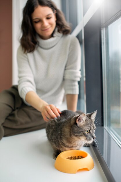 Cerca de hermoso gato con el dueño