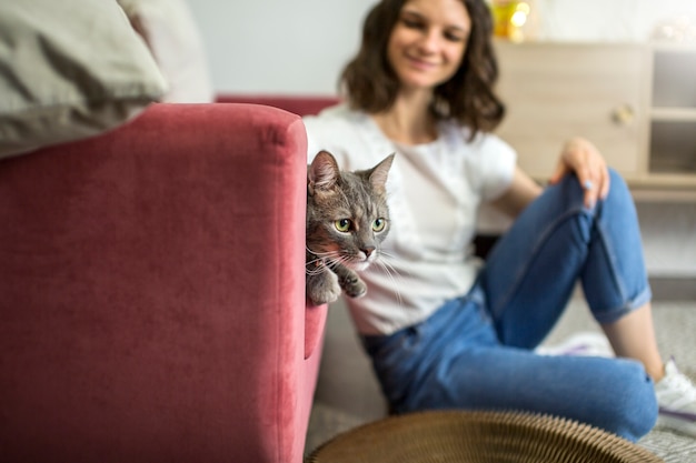 Cerca de hermoso gato con el dueño