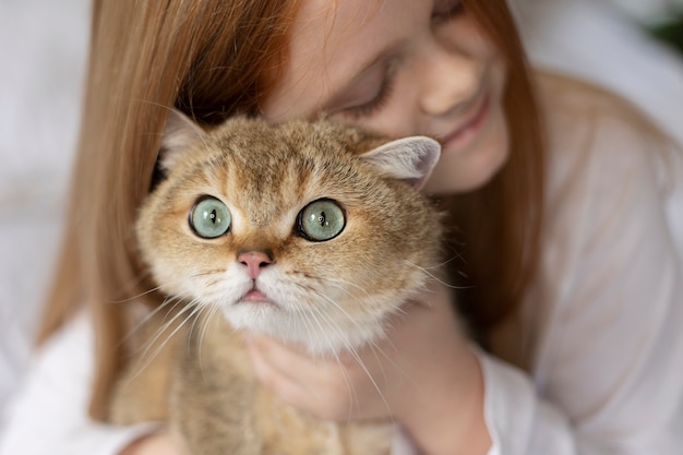 Cerca de hermoso gato con niña