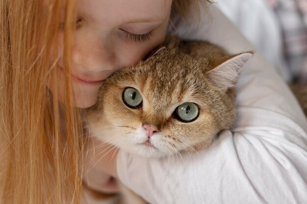 Cerca de hermoso gato con niña