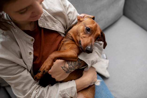 Cerca de hermoso perro salchicha abrazado por propietario