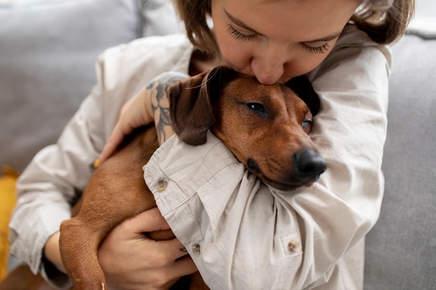 Foto gratuita cerca de hermoso perro salchicha abrazado por propietario