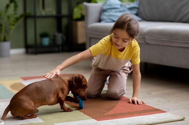 Cerca de hermoso perro salchicha jugando con niños