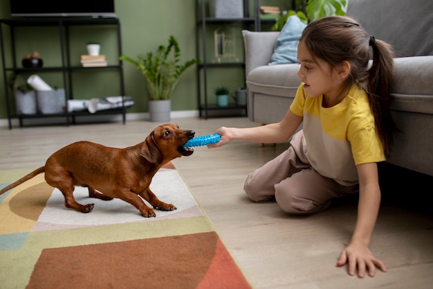 Cerca de hermoso perro salchicha jugando con niños