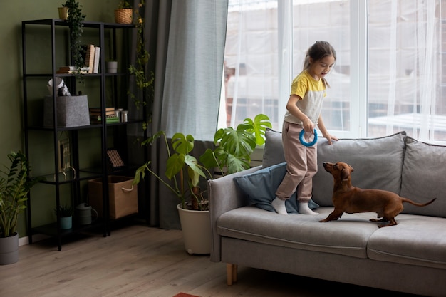 Cerca de hermoso perro salchicha jugando con niños