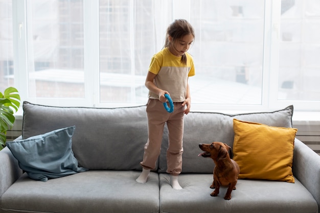 Foto gratuita cerca de hermoso perro salchicha jugando con niños