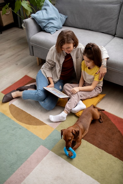 Foto gratuita cerca de hermoso perro salchicha pasar tiempo con la familia